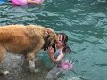Alex_MooseDiscoversPool (10)